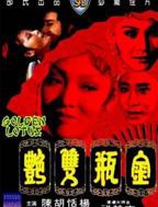 《金瓶双艳》电视剧免费观看全集