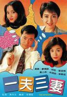 一夫三妻免费观看电视剧完整版高清
